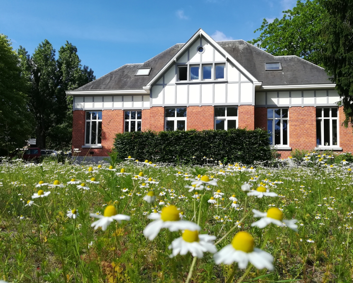 Kunsthuis Yellow Art (c) Bart Janssen